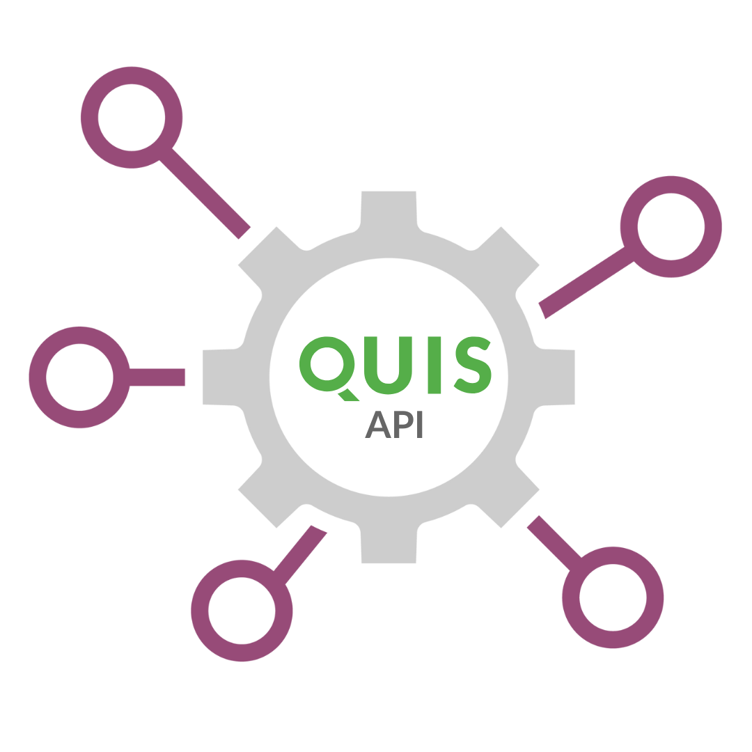 Illustration der API-Integration von QUIS zur Optimierung von Datenprozessen in Echtzeit. Illustration der API-Integration von QUIS zur Optimierung von Datenprozessen in Echtzeit.